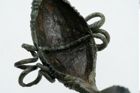Foto von Bronzekahnfibel (NHMW-PRAE-025895)